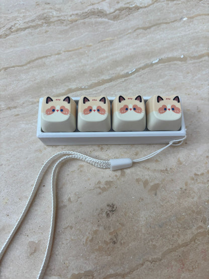 Klikker kattenkopjes