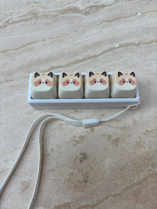 Klikker kattenkopjes